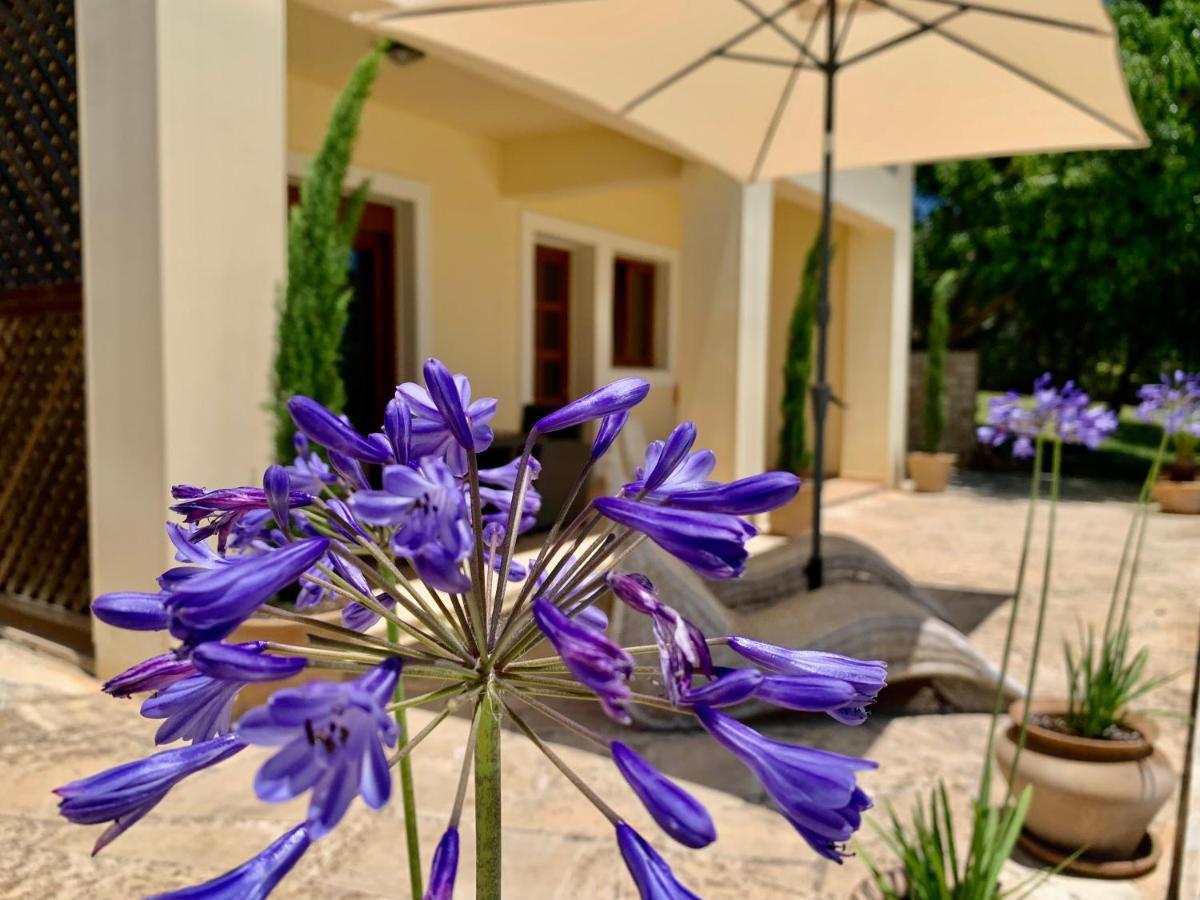 Aggelos And Thisbe Chania Suburbs Sea View Guest House Exterior photo